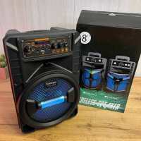 Беспроводная караоке-колонка Soeopu TTD-8245 (8 дюймов) с радио, USB и подсветкой (8) оптом