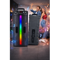 Портативна бездротова Bluetooth колонка-караоке TTD-2806, RGB-підсвічування, мікрофон, пульт ДК (6) гуртом